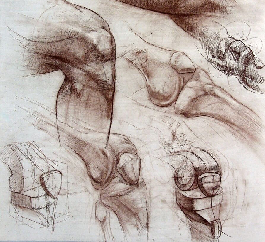 Anatómia és klasszikus rajz